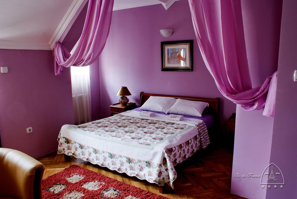 Vila Ile De France Novi Sad Pokoj fotografie